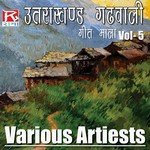 Kalpana Chuhan Songs MP3 Download